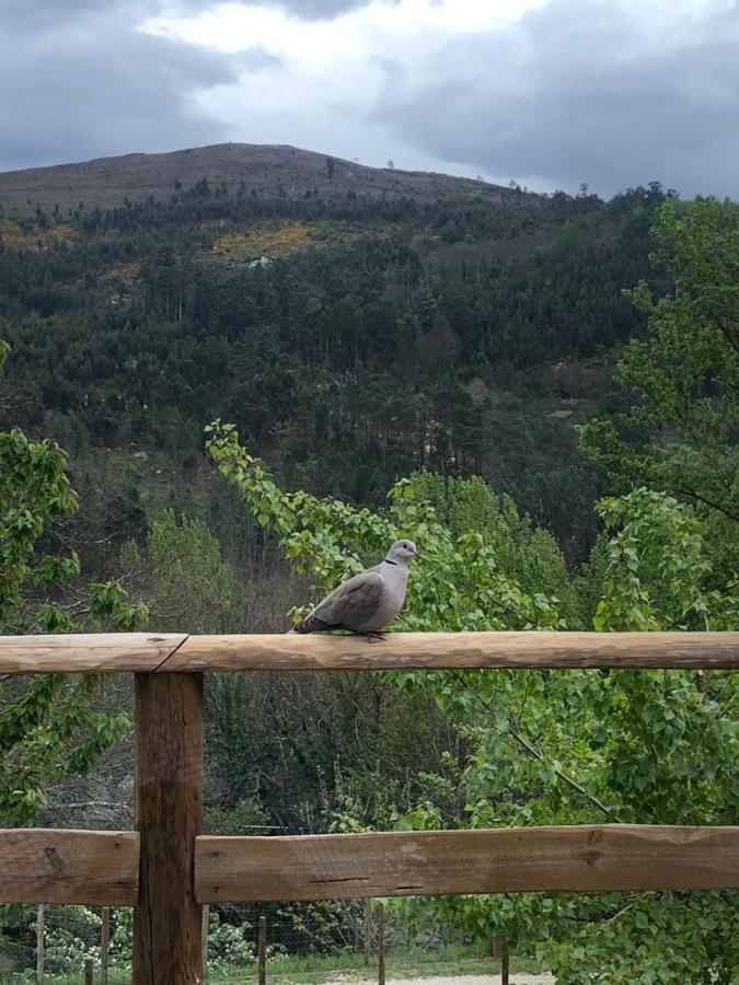 Casa Do Gaio-Turismo De Natureza Arouca Buitenkant foto